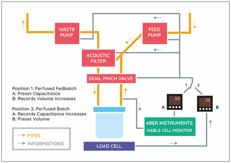 Optimized Perfusion by Capacitance Process Measurement & Control | Aber ...